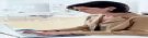 SunBizTeam