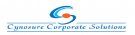 Cynosure Corporate Solutions